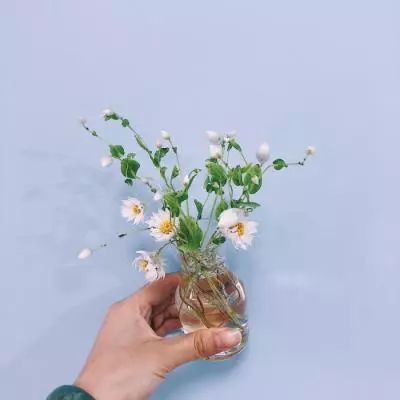 皮尔磁信息安全咨询现采用标准C...